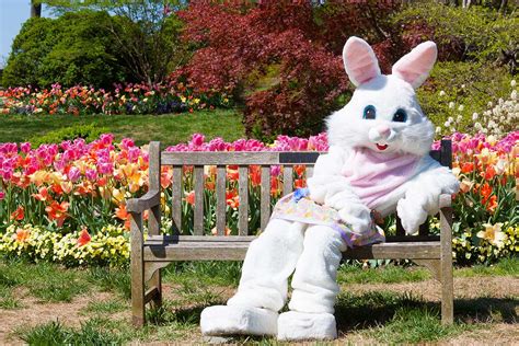 is the easter bunny real for kids